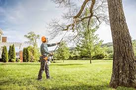 Reliable Checotah, OK Tree Services Solutions