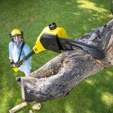 Best Commercial Tree Services  in Checotah, OK