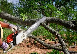 Best Soil Testing and Treatment  in Checotah, OK